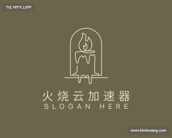 认识火烧云加速器